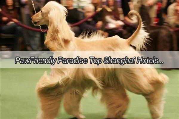 PawFriendly Paradise Top Shanghai Hotels Where You Can Bring Your Furry Companions